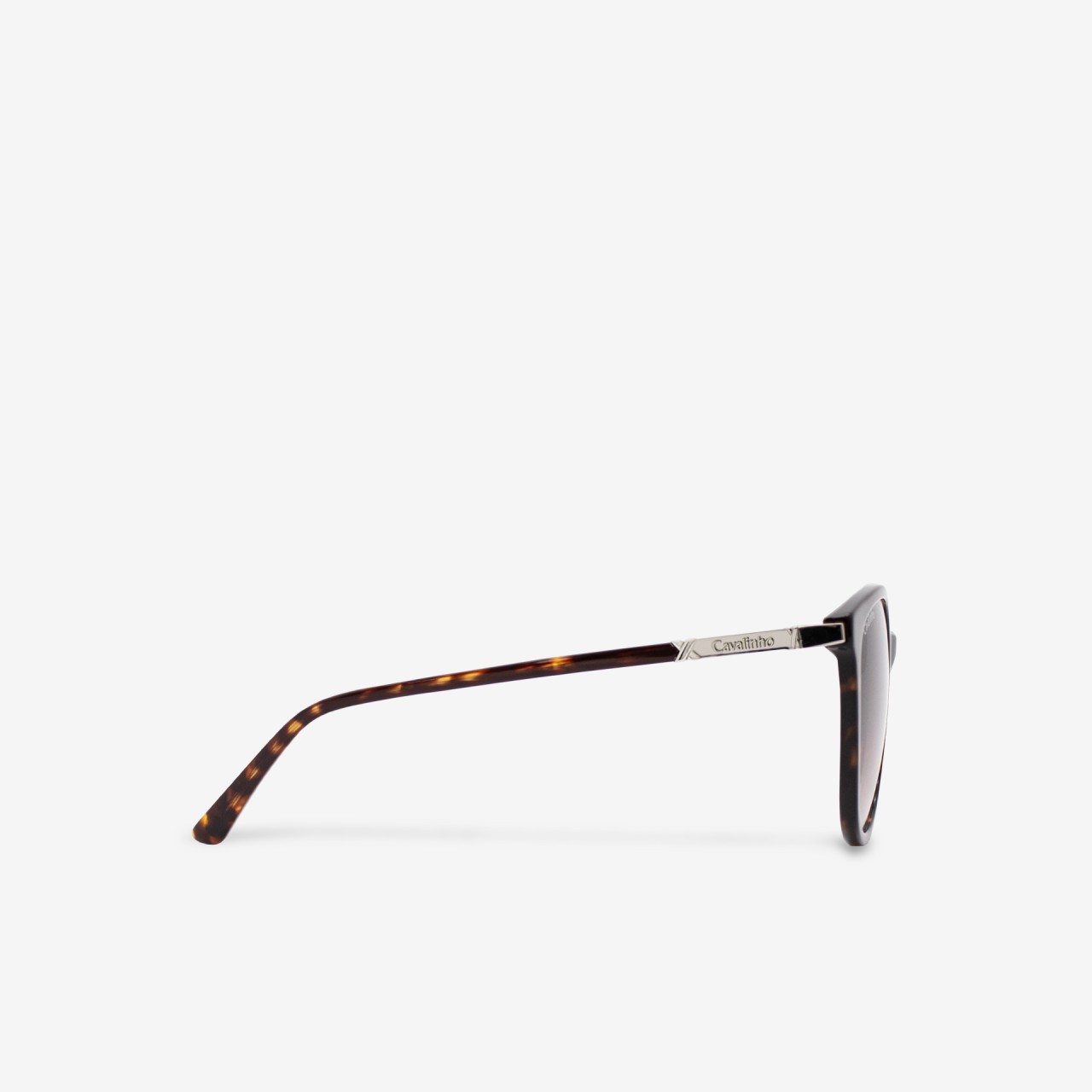 culos de Sol Cosmopolis