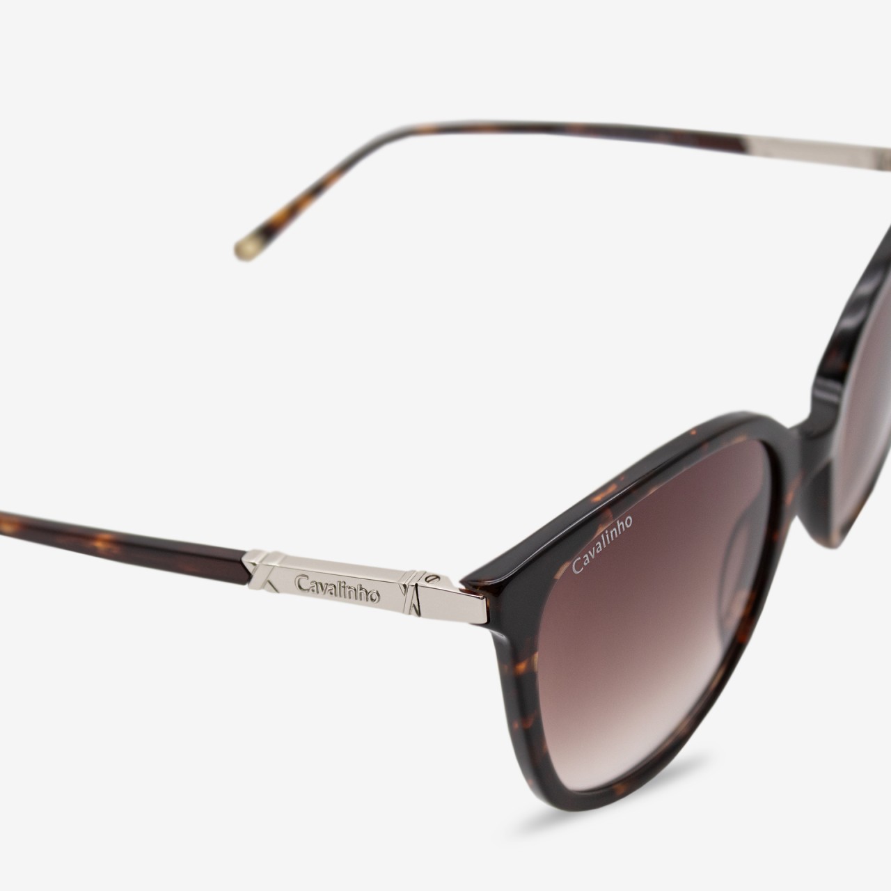 culos de Sol Cosmopolis