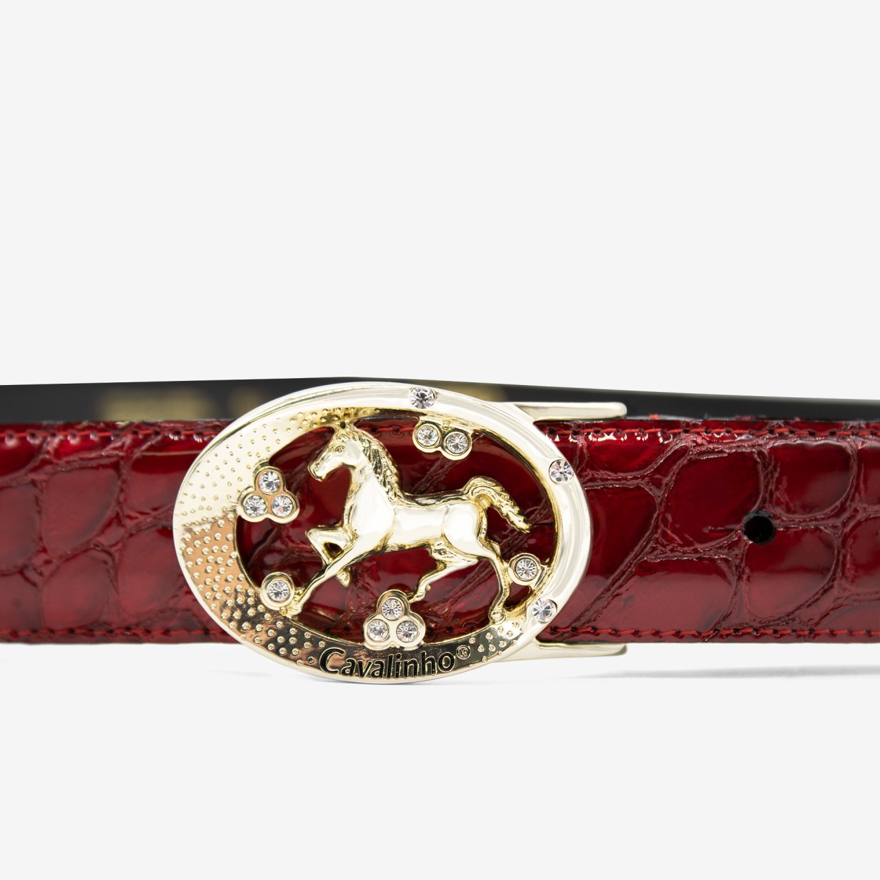 Cinto Clssico Galope