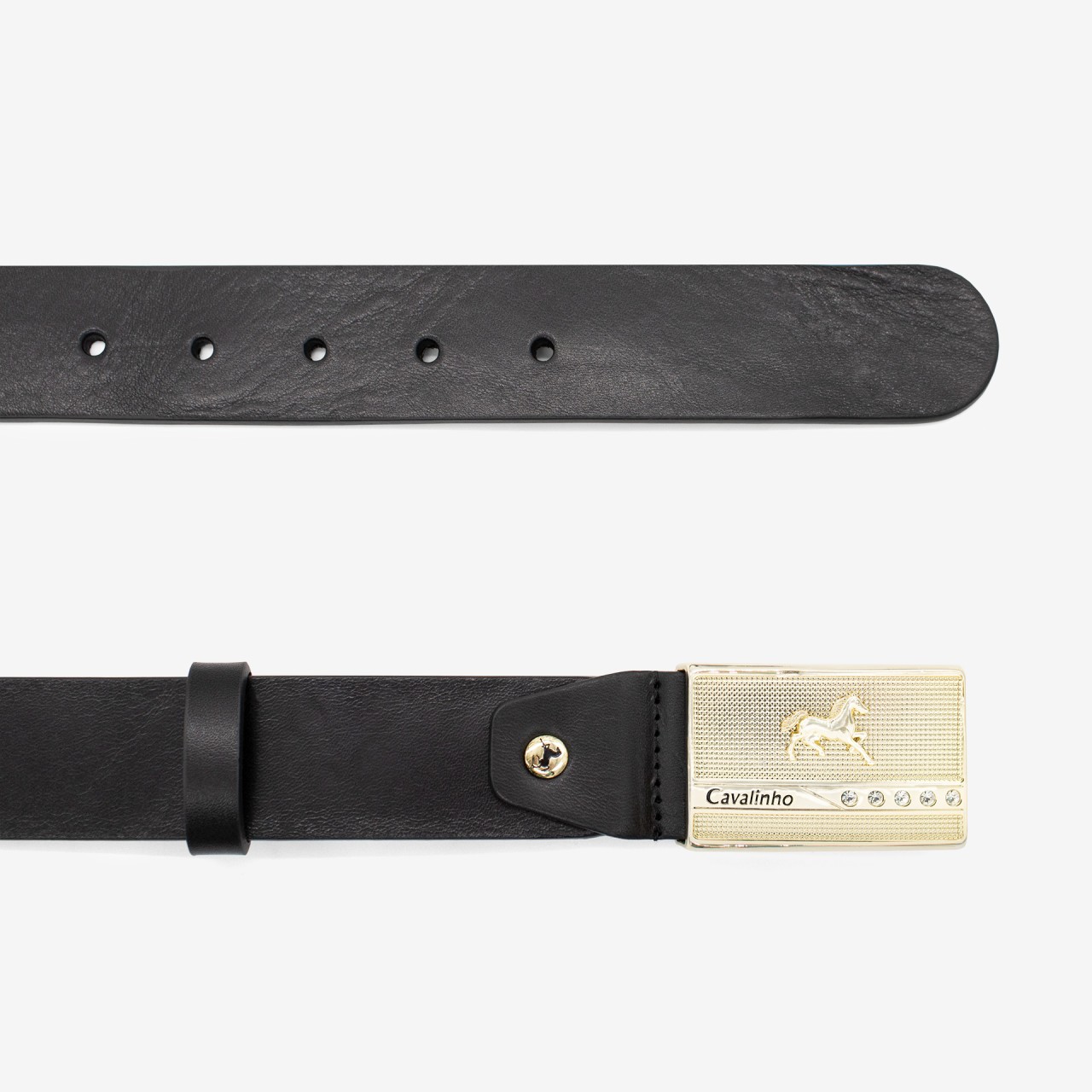 Ceinture de Sport Cavalo Lusitano