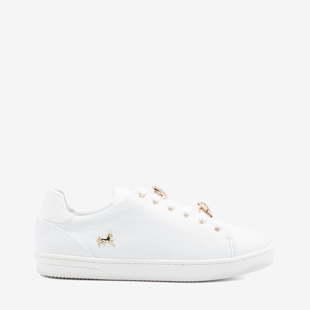Sapatilha Goldie
