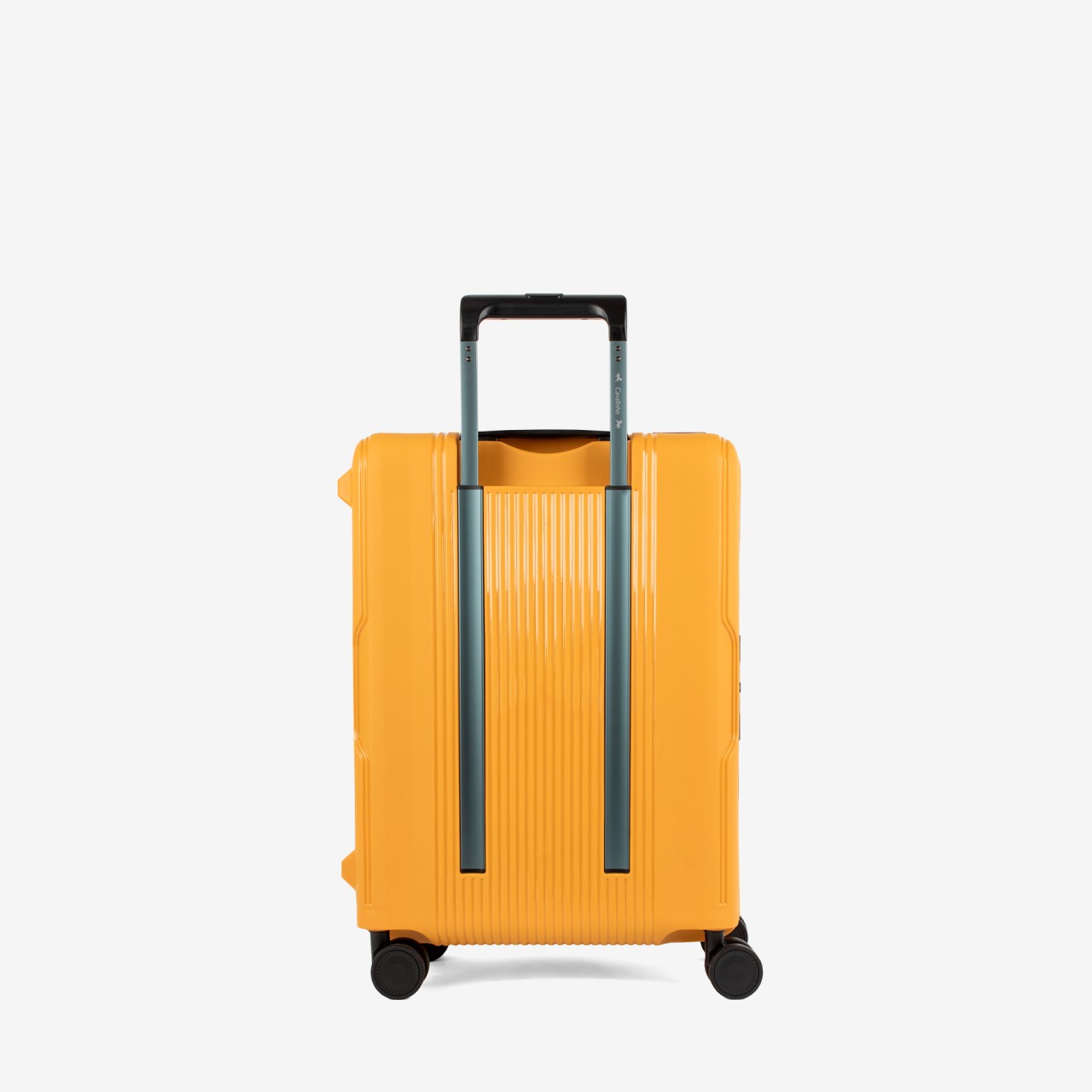 Bagage Trolley de Soute Atlas