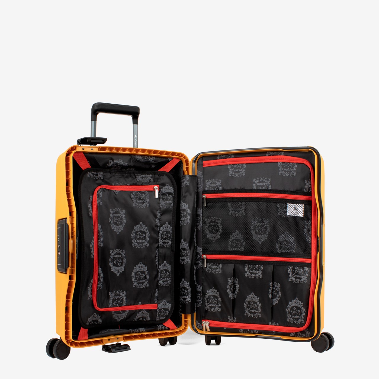 Bagage Trolley de Soute Atlas