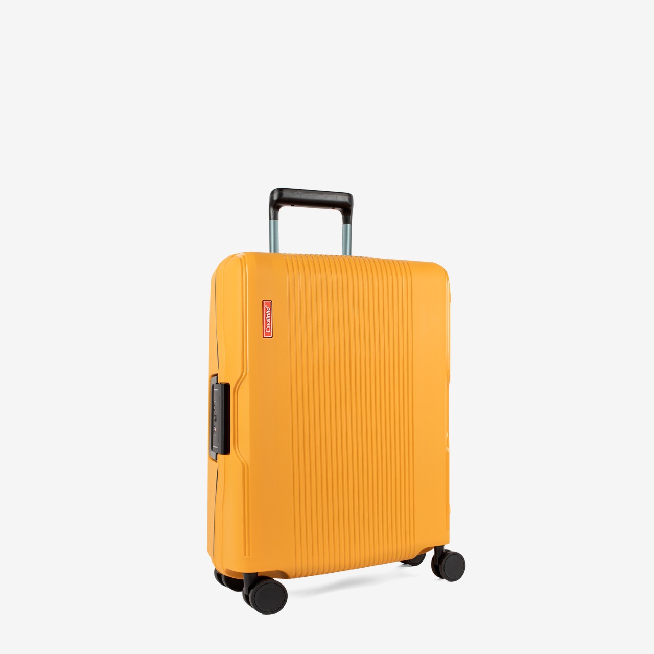Bagage Trolley de Soute Atlas