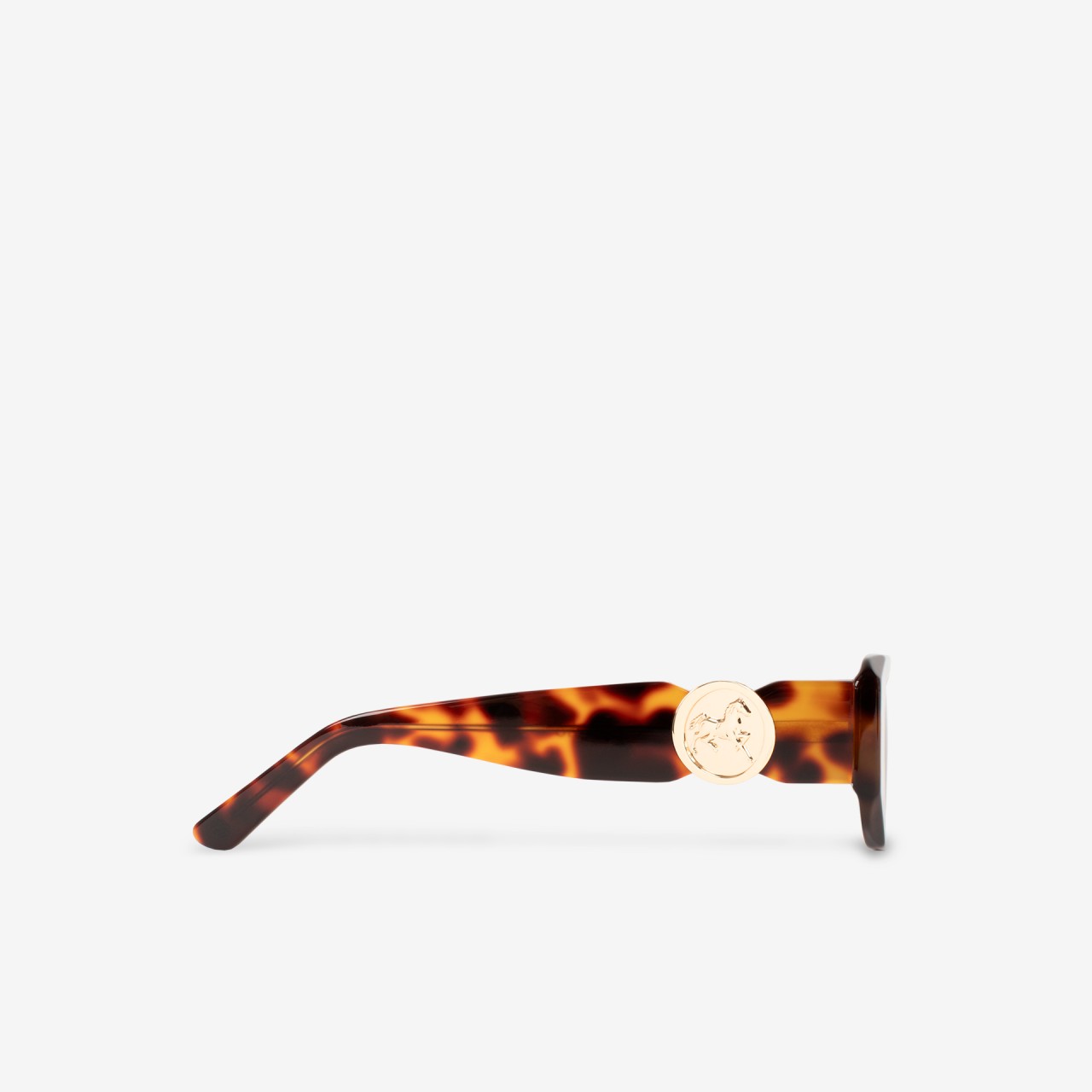 Sunglasses Retro