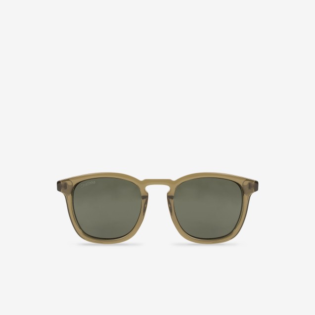 Sunglasses Olive