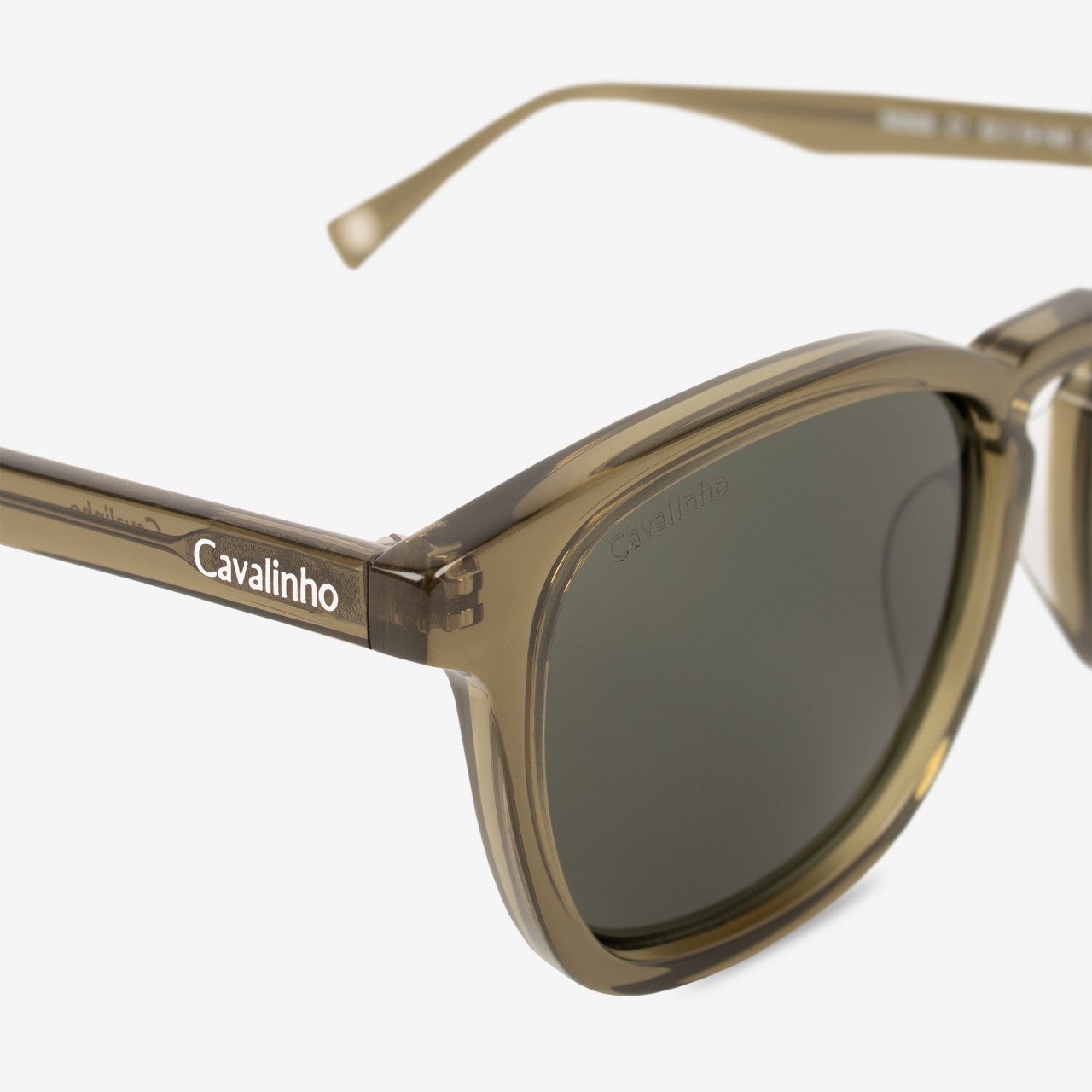 Sunglasses Olive