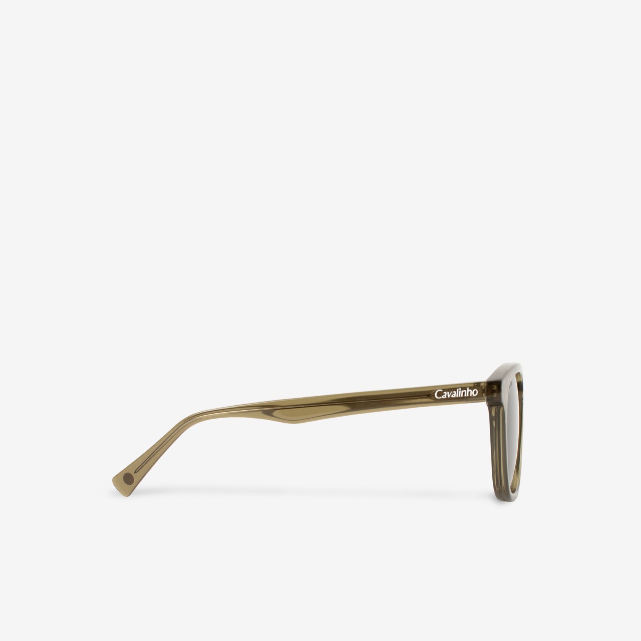Sunglasses Olive